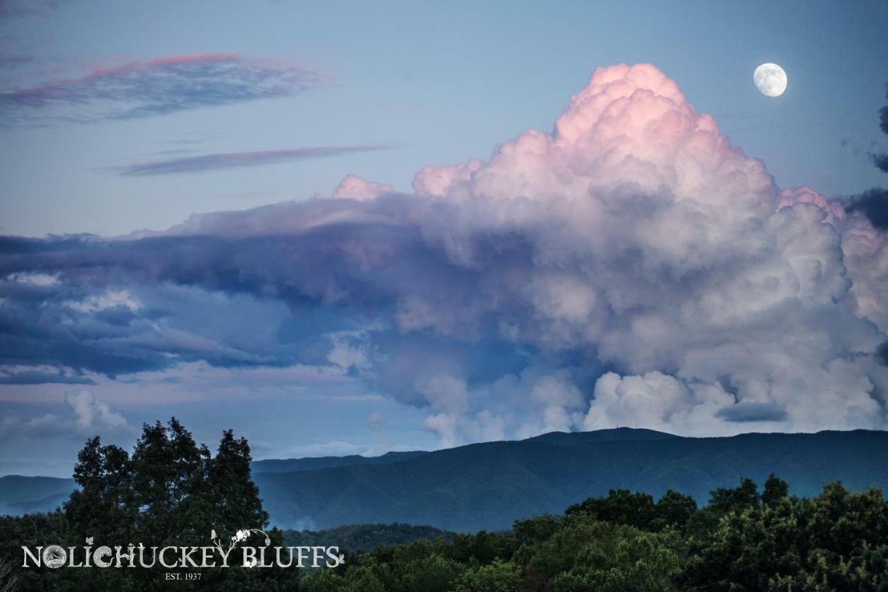Nolichuckey Bluffs Bed & Breakfast Cabins Greeneville Exteriör bild