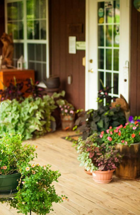 Nolichuckey Bluffs Bed & Breakfast Cabins Greeneville Exteriör bild
