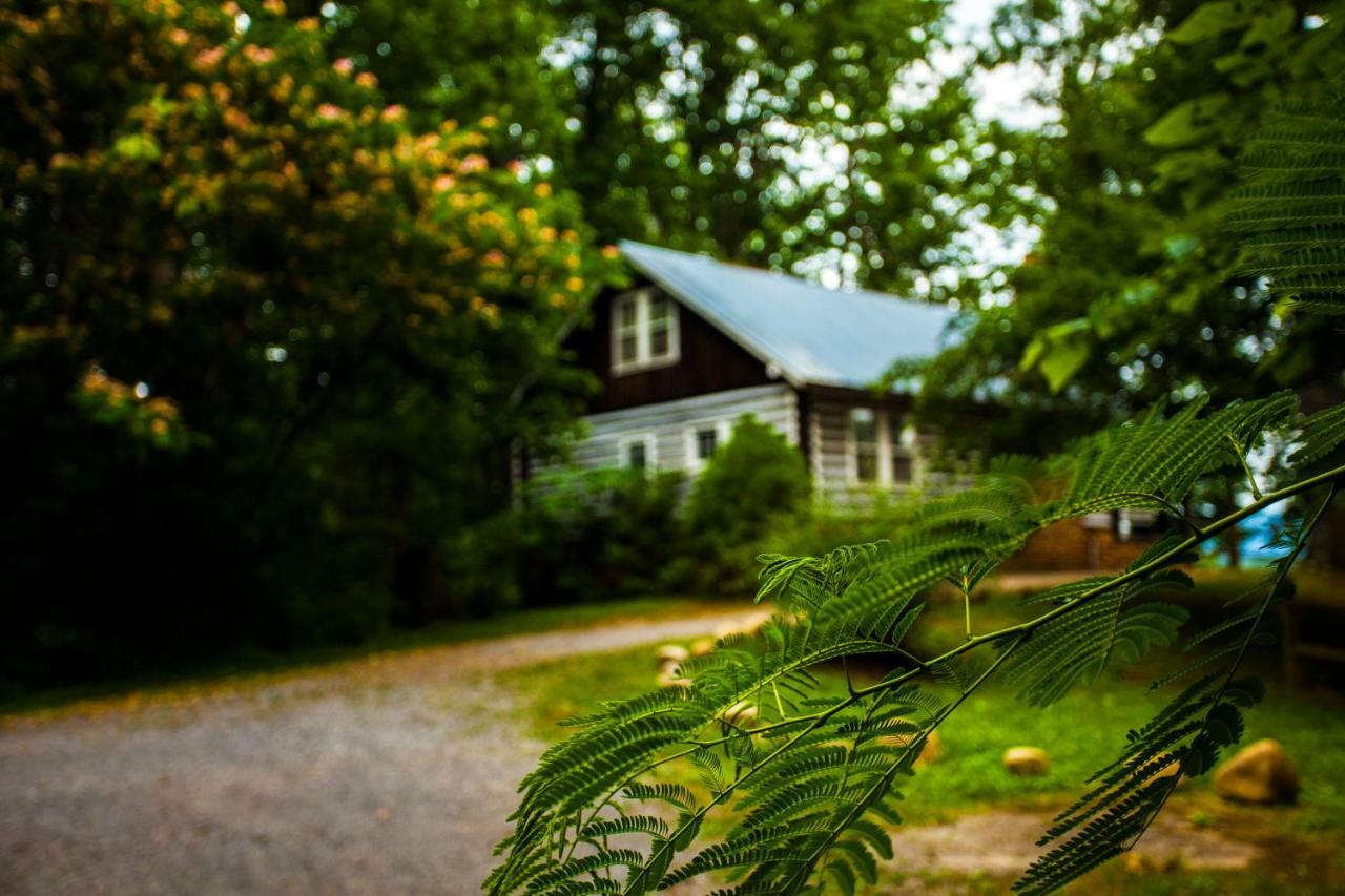 Nolichuckey Bluffs Bed & Breakfast Cabins Greeneville Exteriör bild